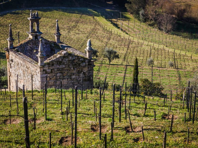 Quinta de Covela