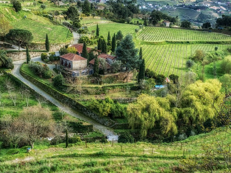 Quinta de Covela