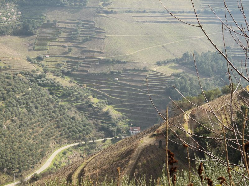 Quinta do Infantado