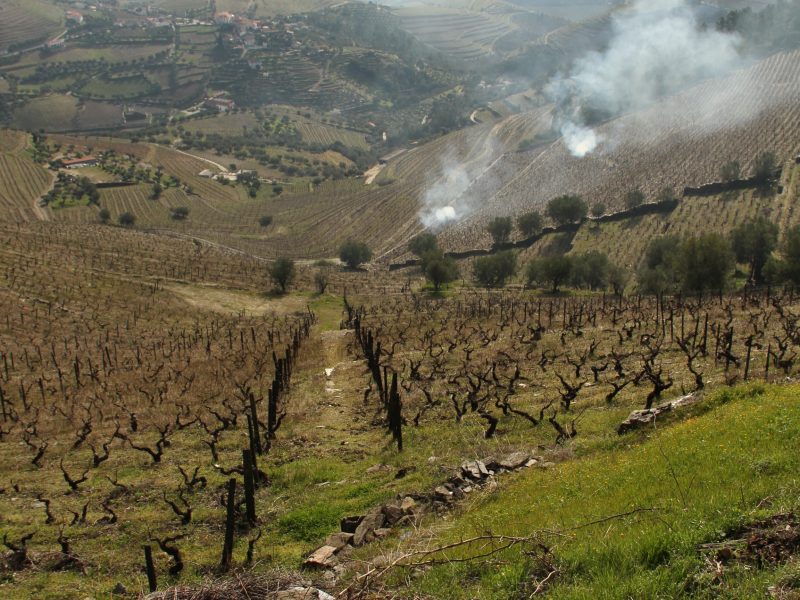 Quinta do Infantado