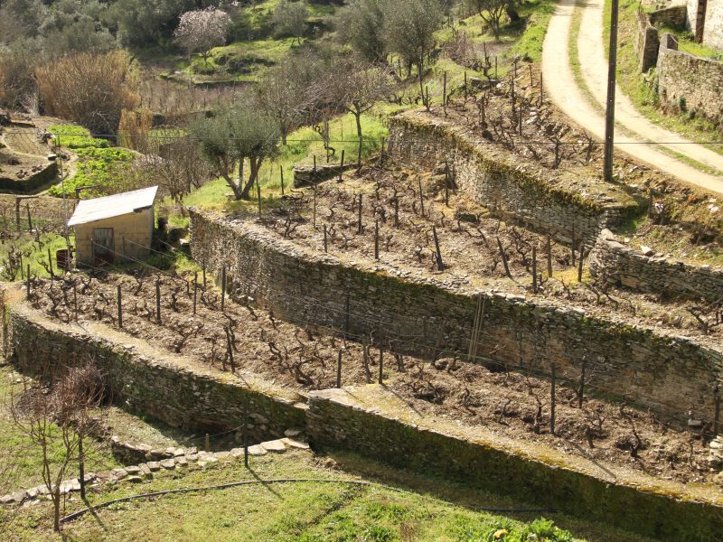 Quinta do Infantado